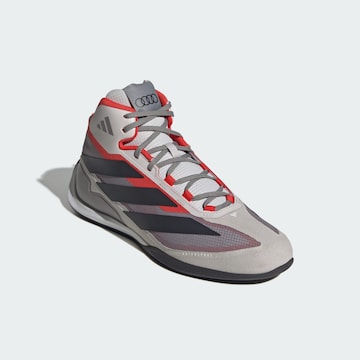 Chaussure de sport 'Feroza Audi Revolut F1 Team' ADIDAS PERFORMANCE en gris