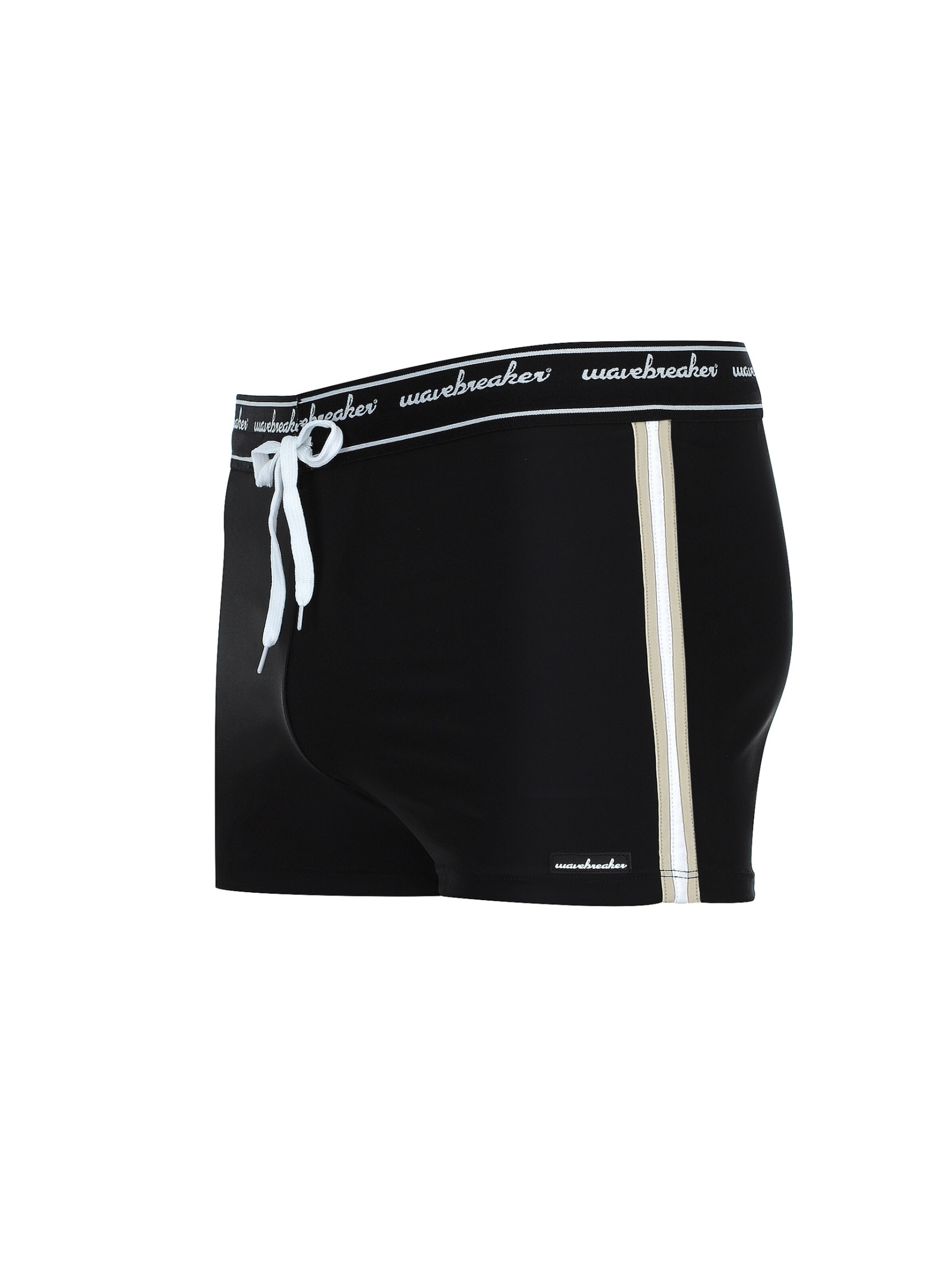 wavebreaker Swim Trunks in Black