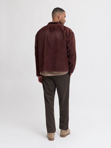 JACK & JONES - Tapered Pantalón 'JPSTAce' en marrón