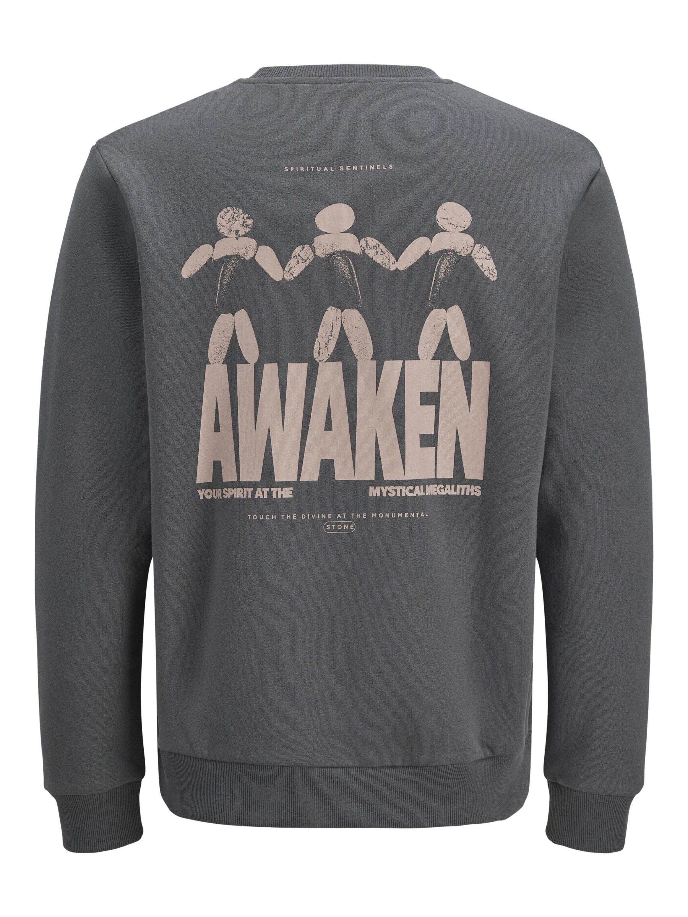 JACK & JONES Sweatshirt i grå