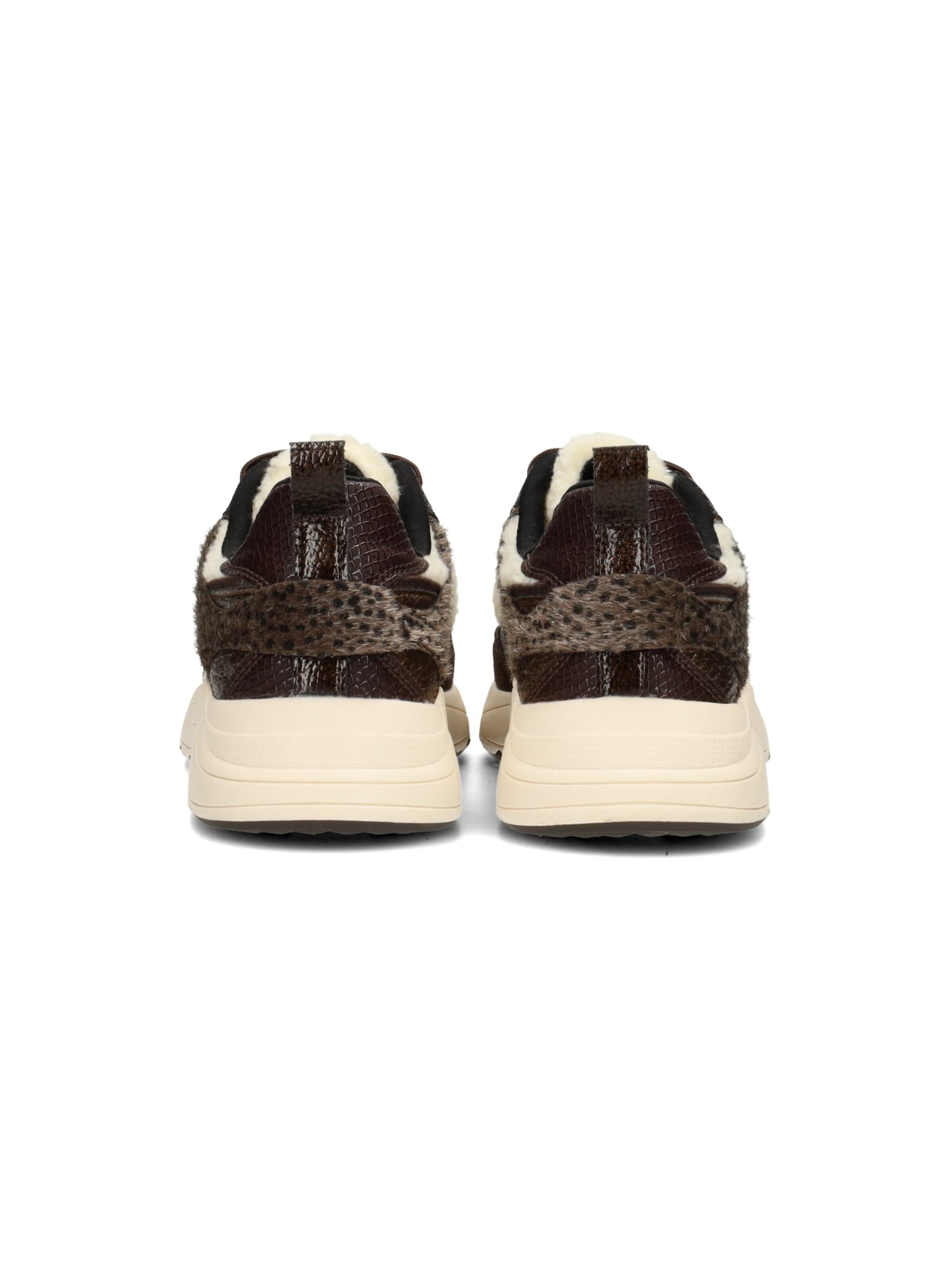 POSH by Poelman Sneakers laag 'POSH by Poelman CARO Damen Sneaker' in Bruin