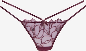 LASCANA String in Red: front