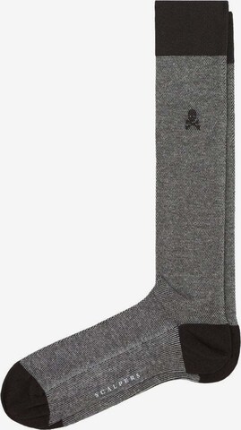 Scalpers Socks 'Sumi' in Grey: front