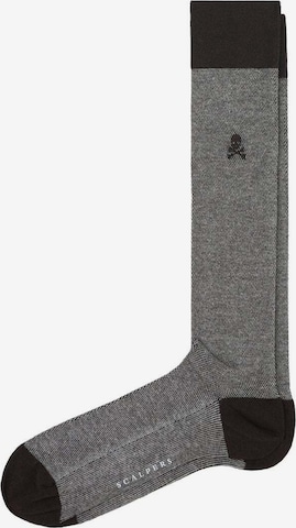 Scalpers Socks 'Sumi' in Grey: front