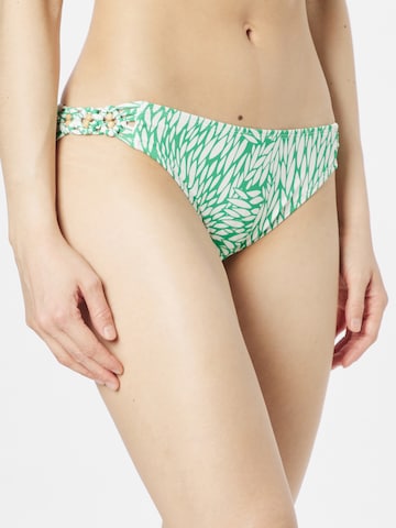 LingaDore Bikini Bottoms in Green: front