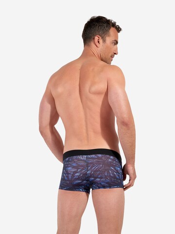 Boxers ' Star Island ' HOM en bleu