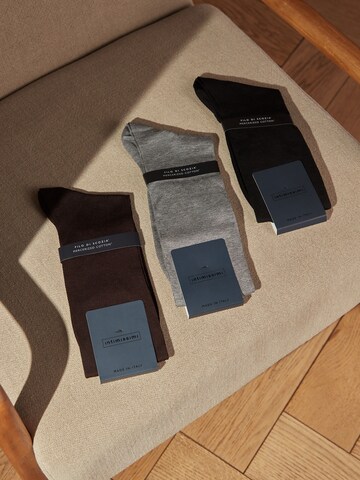 INTIMISSIMI Socks in Brown
