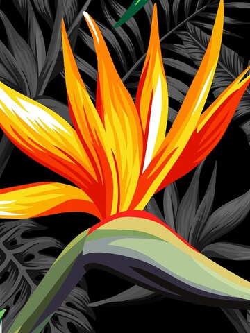 Hawaiihemdshop.de - Ajuste regular Camisa 'Hawaiihemd "Bird of Paradise"' en negro