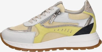 Baskets basses 'Mirren' Piedi Nudi en jaune : devant