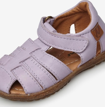 NATURINO Open shoes 'SEE' in Purple: front