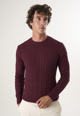 Pullover di Felix Hardy in rosso: frontale
