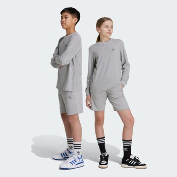 ADIDAS ORIGINALS Regular Trousers in Grey: front