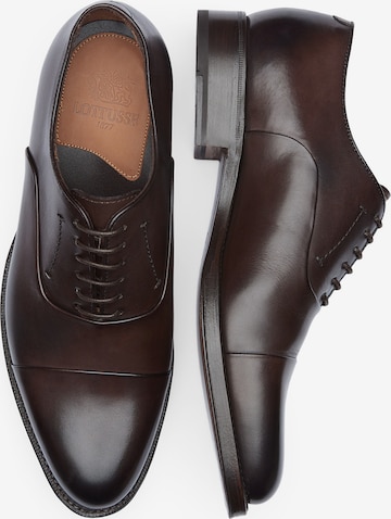 LOTTUSSE Lace-Up Shoes in Brown