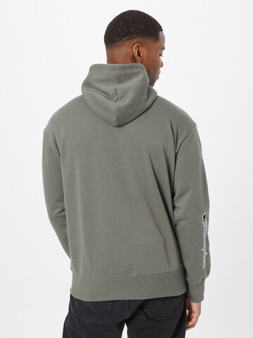 Champion Authentic Athletic Apparel Sweatshirt in 