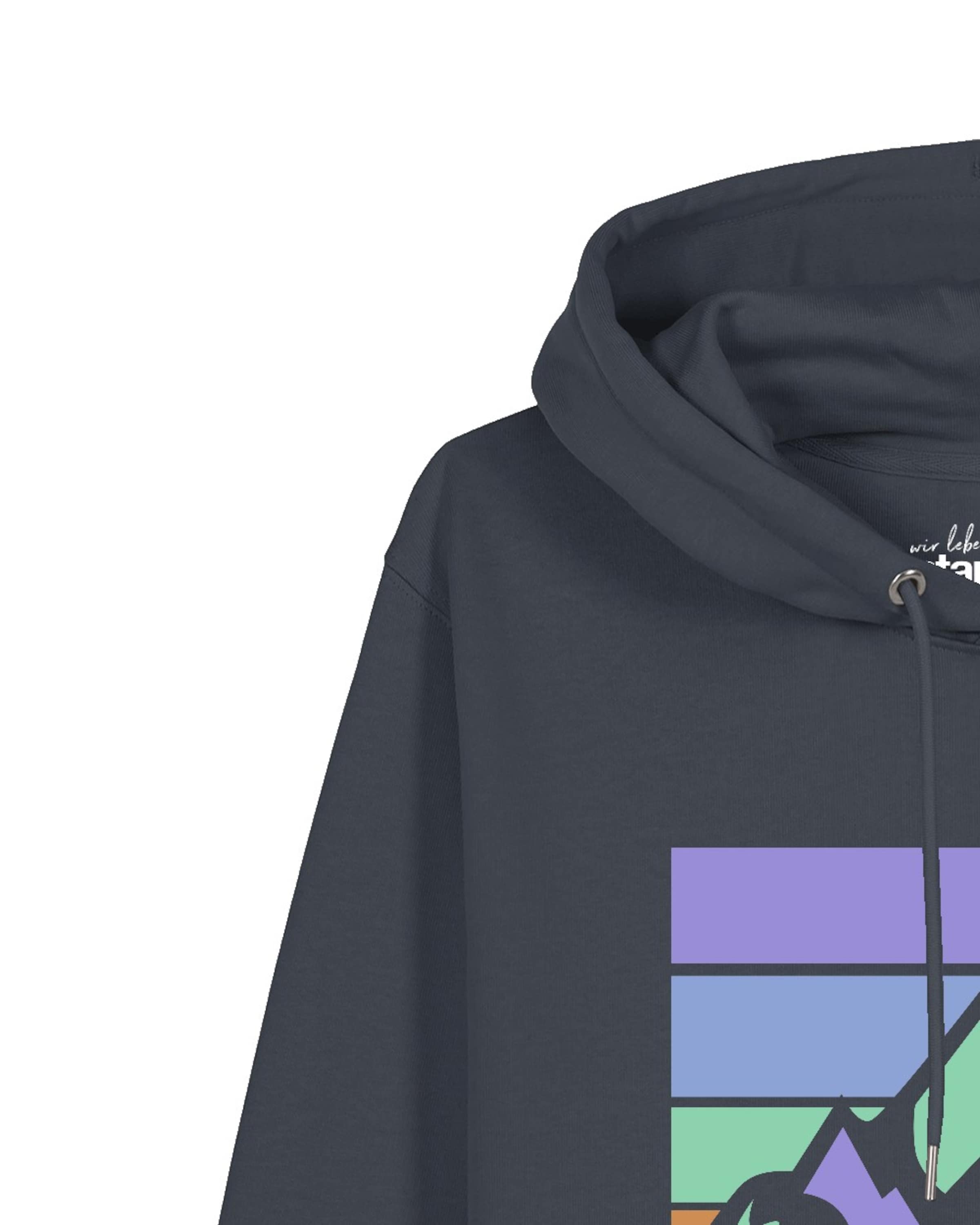 Watapparel Sweatshirt 'Retro Landscape' in Grijs