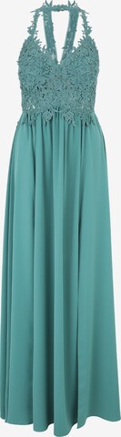 SUDDENLY princess Evening Dress in Green: front