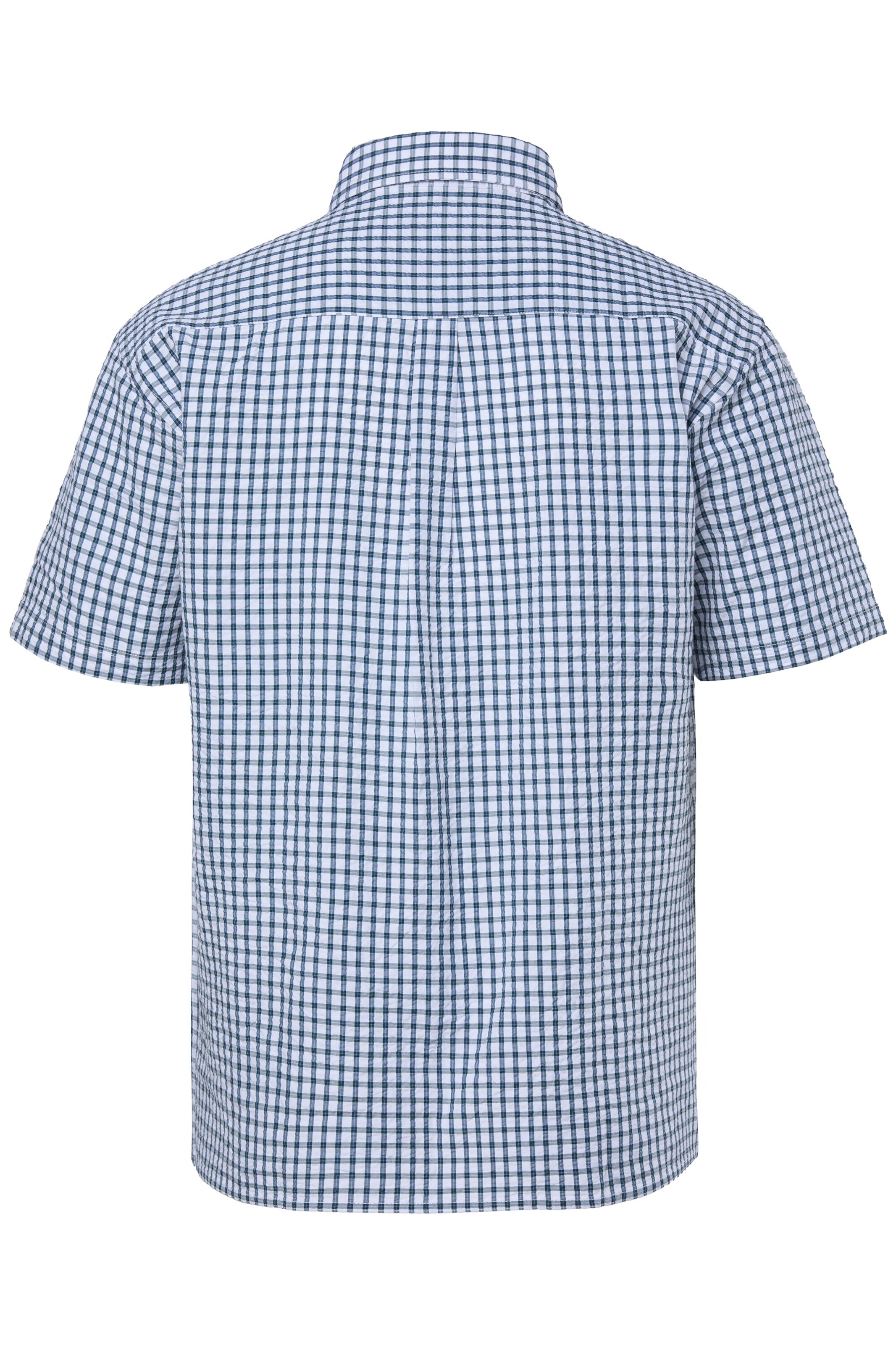 Men Plus Regular fit Overhemd in Groen