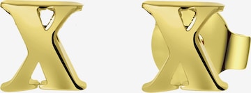 Lucardi Oorbellen in Goud: voorkant