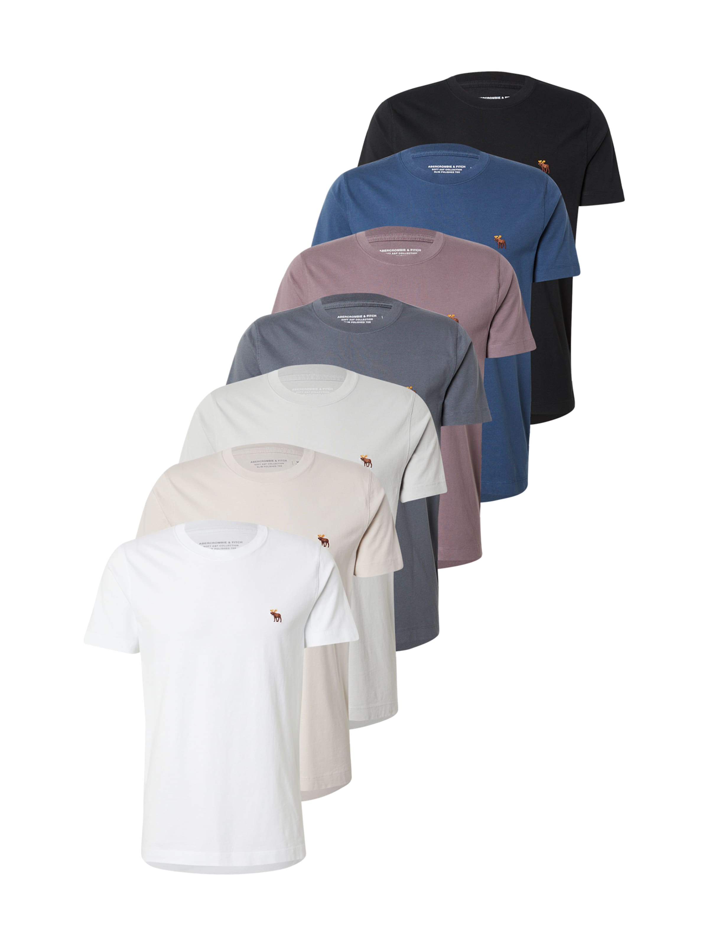 Abercrombie & Fitch Shirt in Blue: front