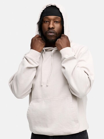 Daily Cotton Sweatshirt 'DCMONOWI'‌‌‌‌ in Grau