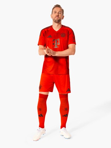 ADIDAS PERFORMANCE Спортивная майка 'FC Bayern München 2024/2025' в Красный