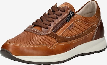 Baskets basses PIKOLINOS en marron : devant