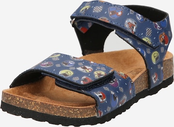 Dockers by Gerli Sandals & Slippers in Blue: front