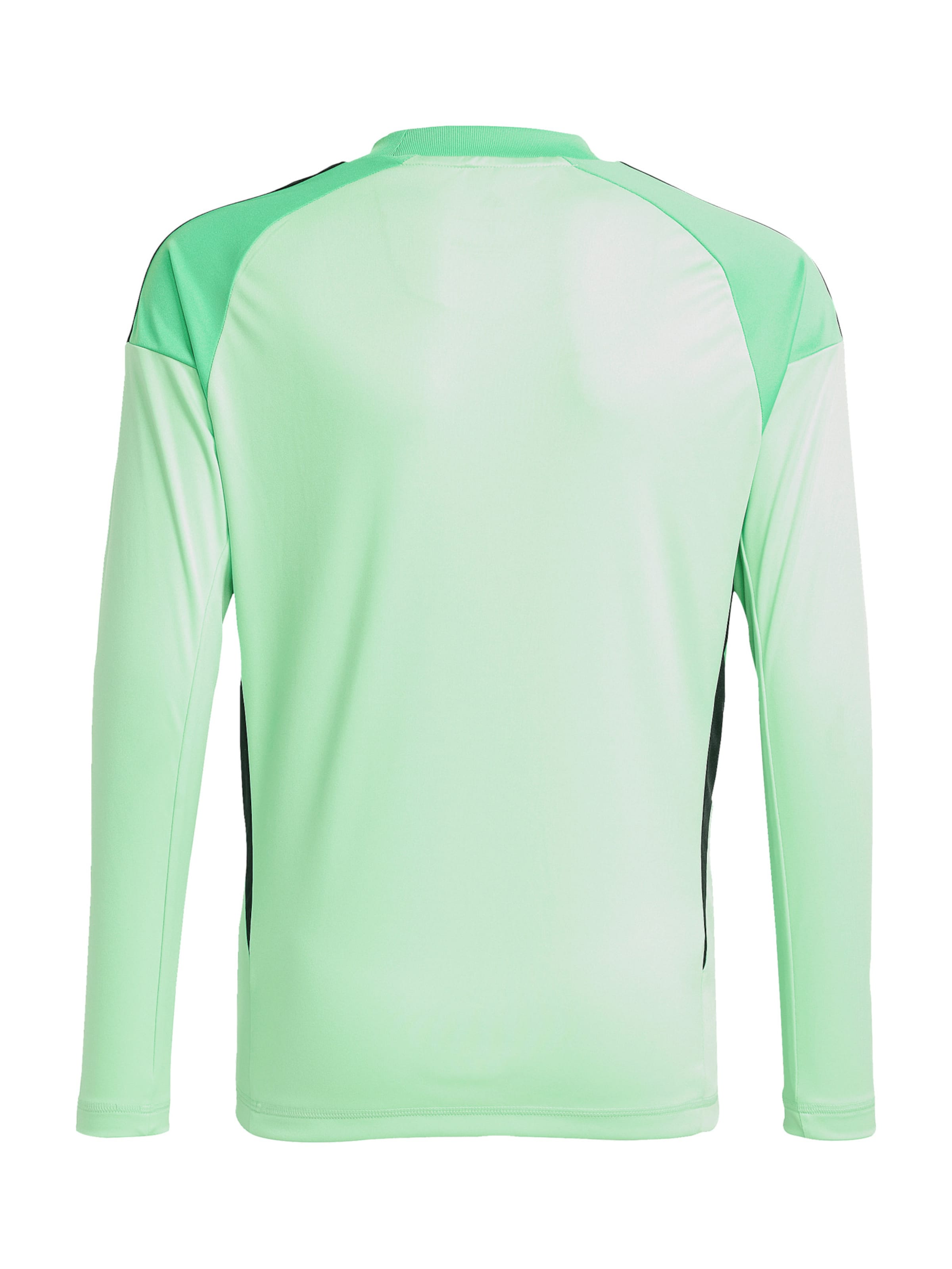 ADIDAS PERFORMANCE Funkcionalna majica 'Tiro 25 Competition' | zelena barva