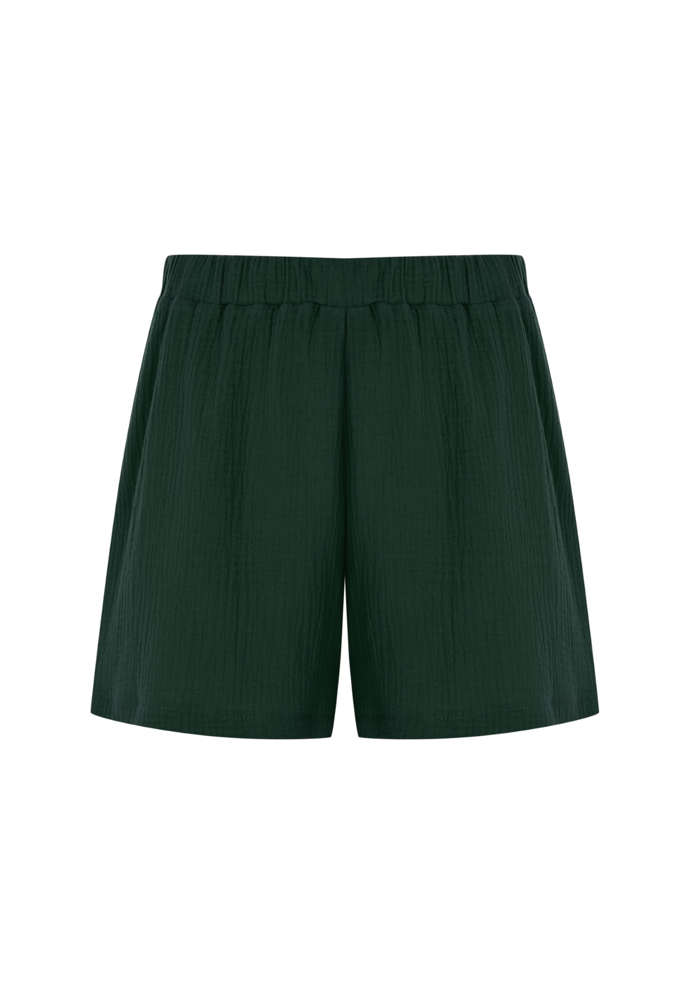 FRESHLIONS Broek in Groen: voorkant