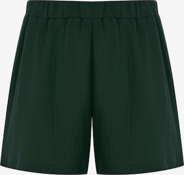 FRESHLIONS Regular Shorts in Grün: Vorderseite