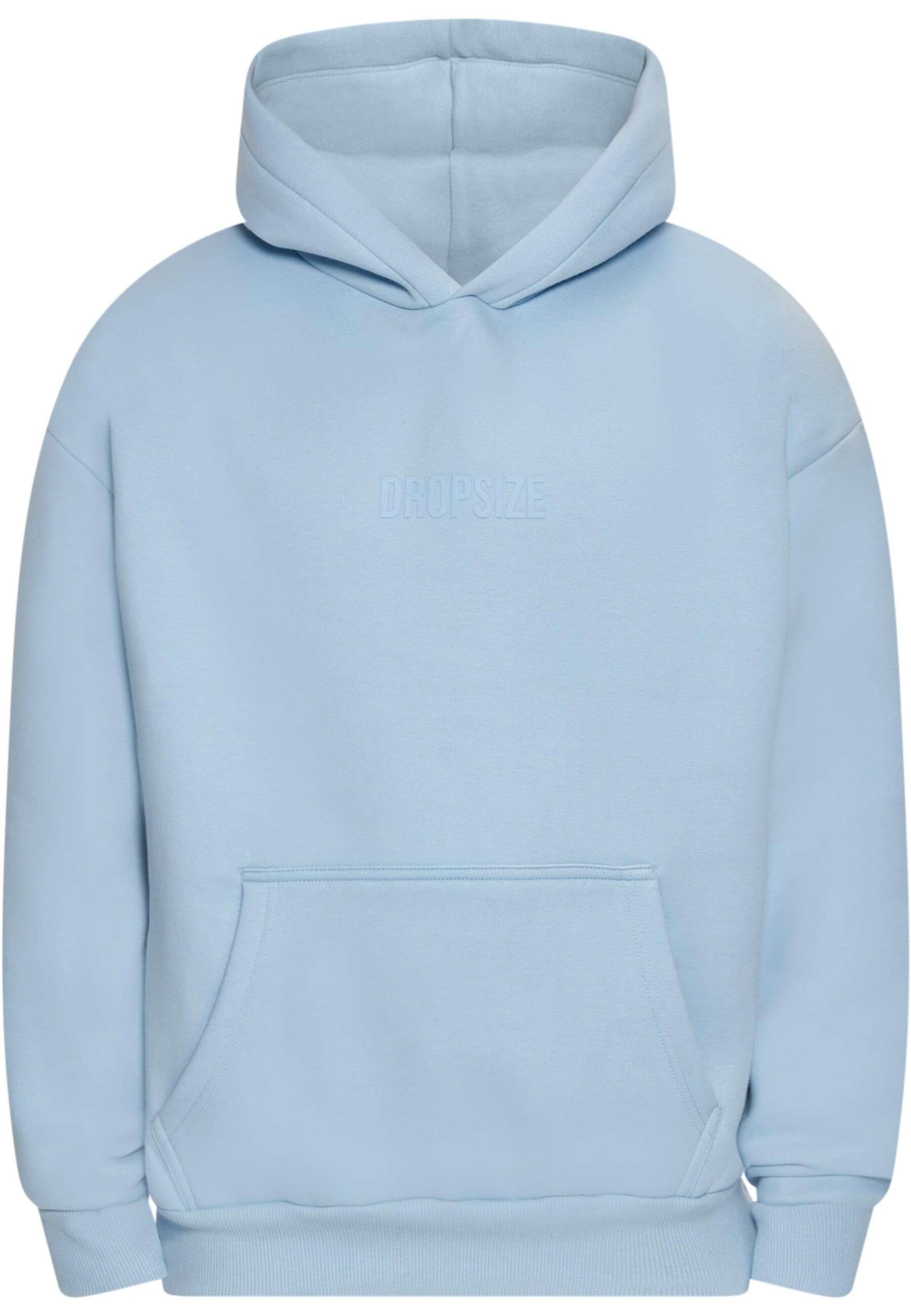 Dropsize Sweatshirt in Blue: front