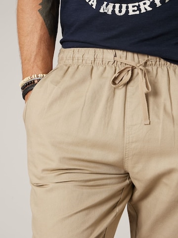 Loosefit Pantalon chino 'GLADES ' Deeluxe en marron