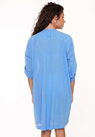 LingaDore Swimsuit Dress in Blue