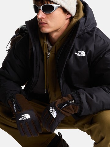 THE NORTH FACE Sõrmikud 'Glove', värv pruun