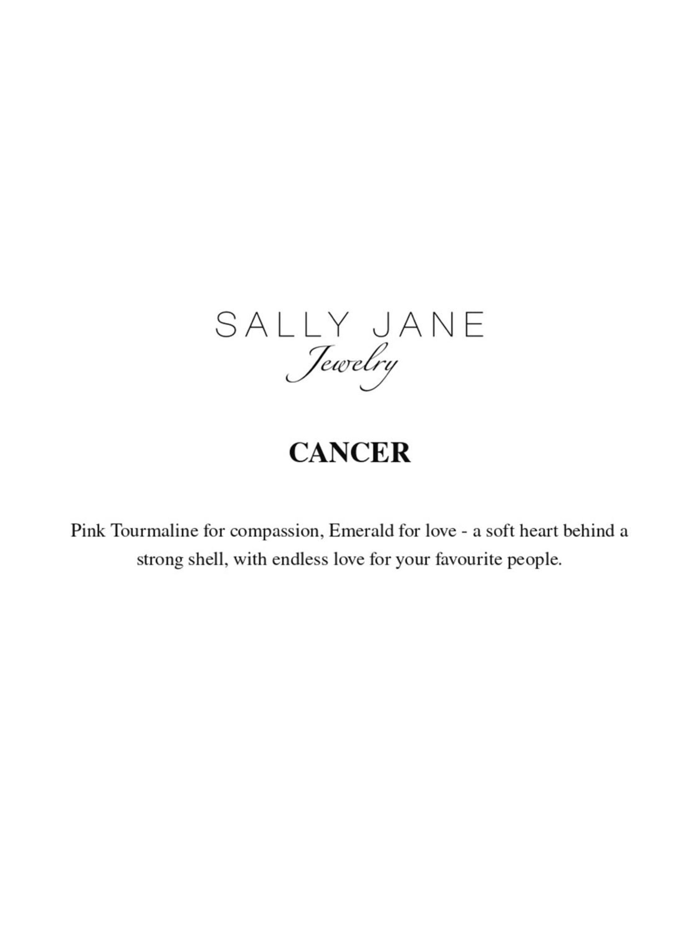 Braccialetto '18k Gold Plated Cancer | Kreeft Zodiac' di Sally Jane Jewelry in oro
