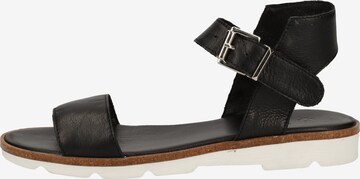 ILC Sandals in Black