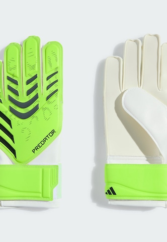 Gants de sport 'Predator' ADIDAS PERFORMANCE en vert
