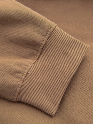 Ombre - regular Pantalón deportivo en marrón