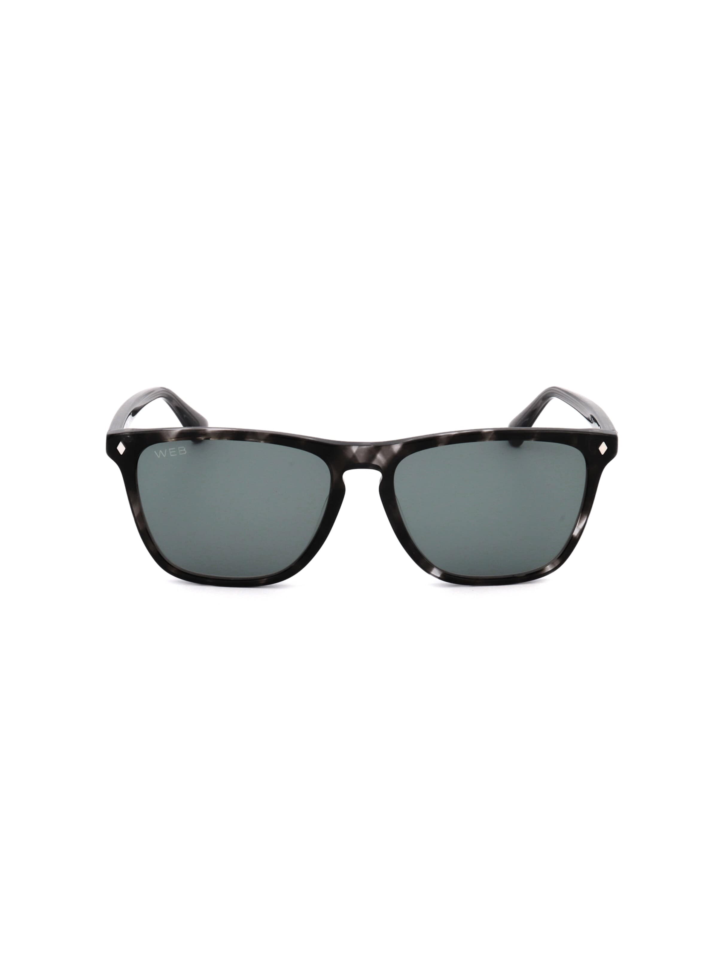 Occhiali da sole 'WE0363' di Web Eyewear in grigio: frontale