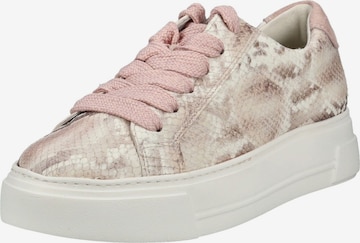 Baskets basses Paul Green en rose : devant