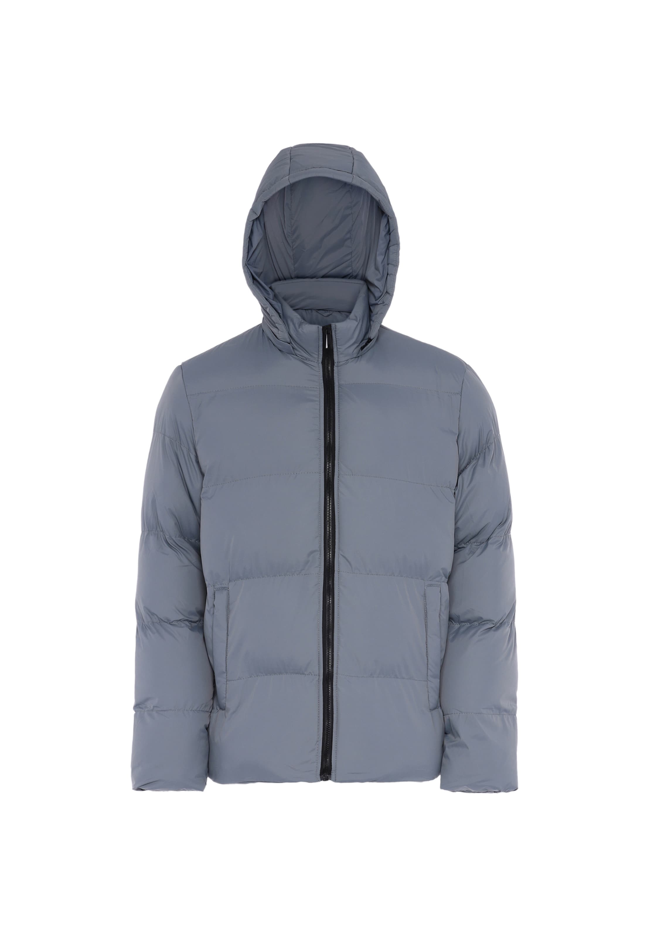 TYLIN - Casaco de inverno em cinzento: frente