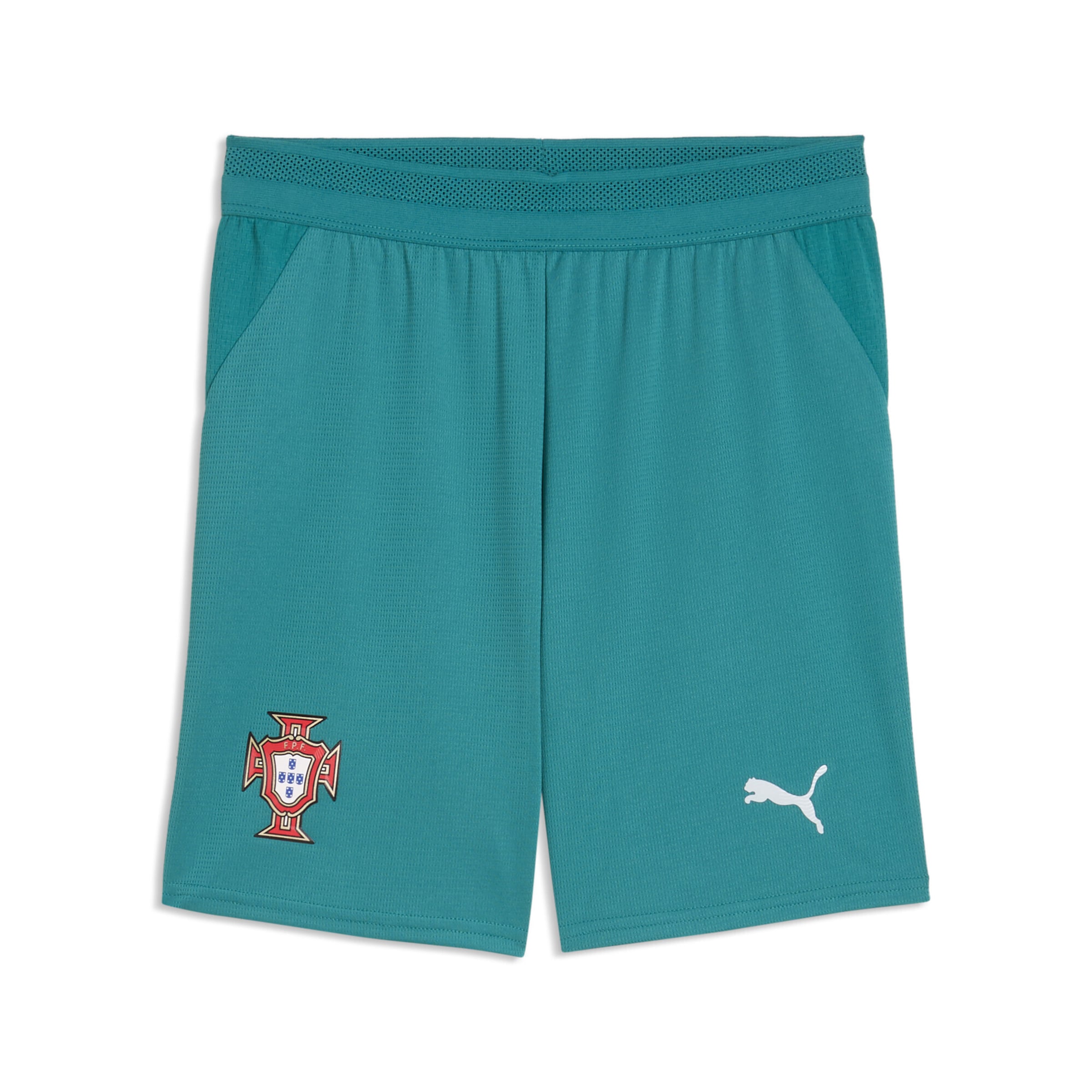 Regular Pantalon de sport 'Portugal 2026' PUMA en vert : devant