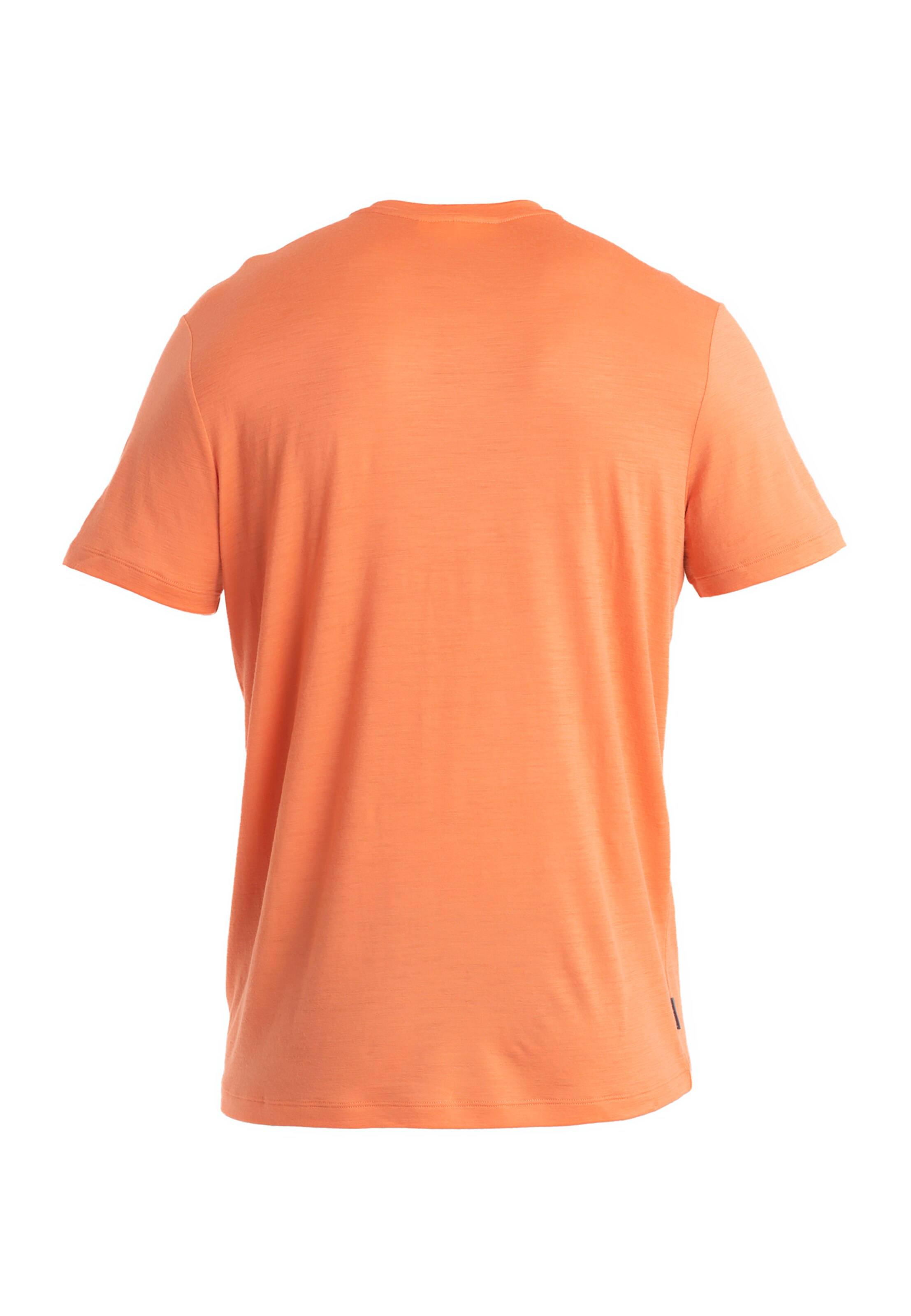 ICEBREAKER Funktionsshirt 'Tech Lite III' in Rot