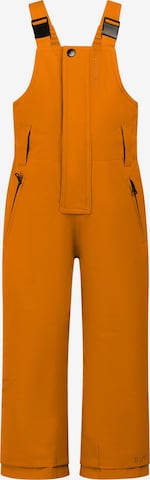 PROTEST Sportbroek 'NEUTRAL TD' in Bruin: voorkant