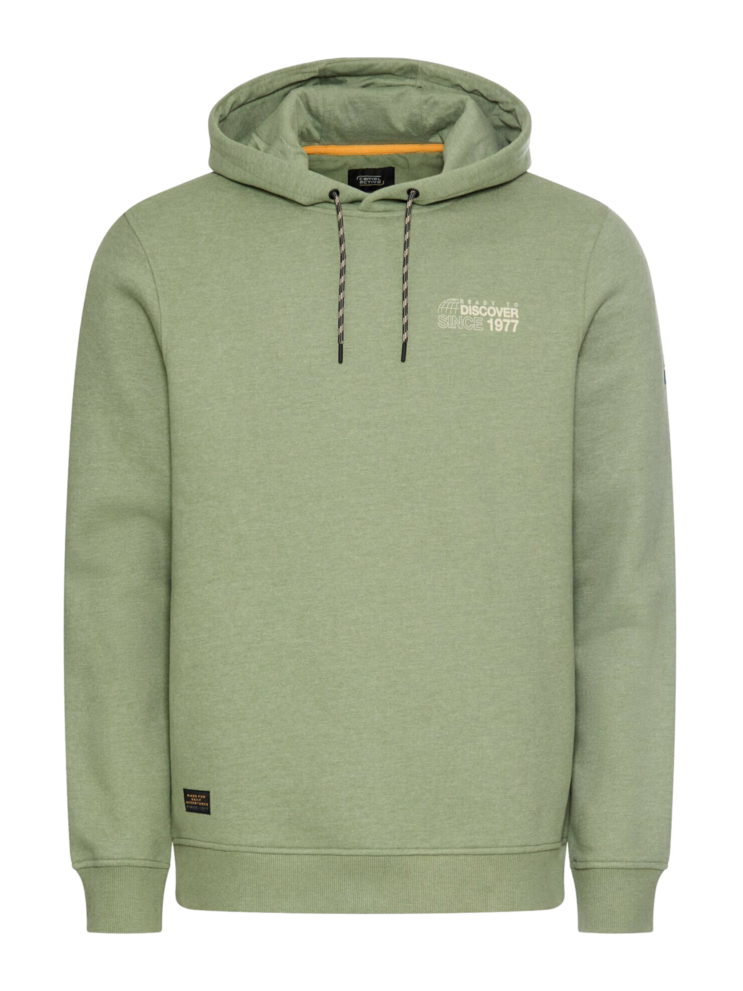 Felpa di CAMEL ACTIVE in verde: frontale
