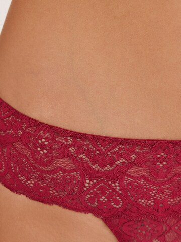 INTIMISSIMI Panty in Red