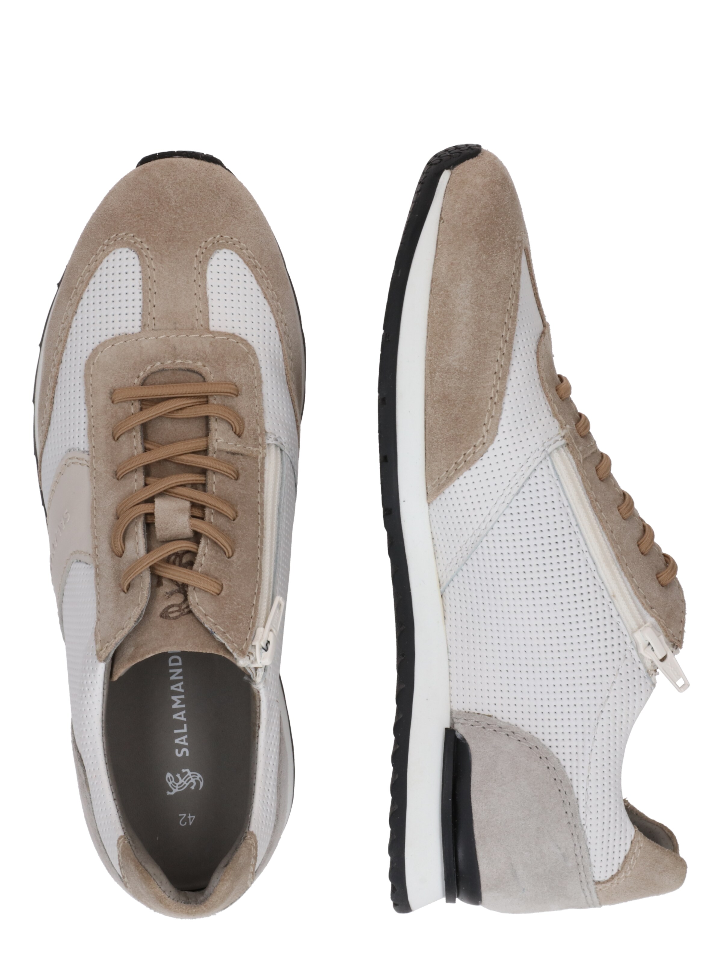 Sneaker bassa di SALAMANDER in beige
