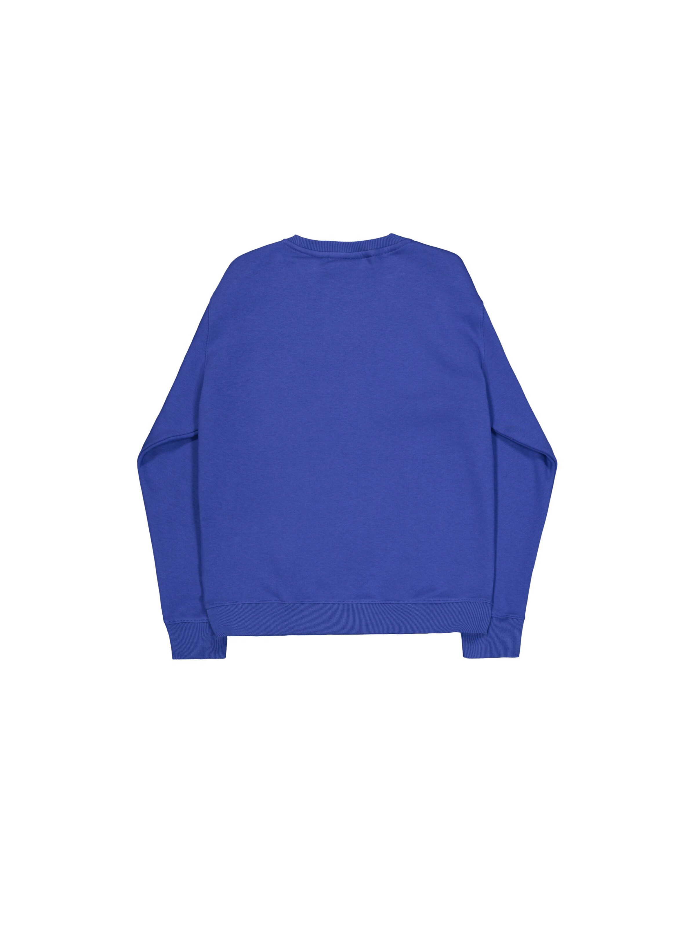 ALPHA INDUSTRIES Sweatshirt 'DTM ML' in Blue: back