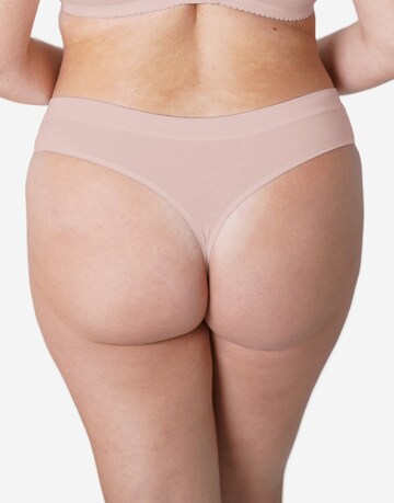 SugarShape Thong in Beige