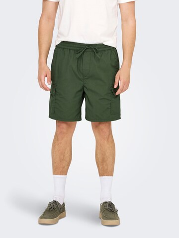 Regular Pantalon cargo 'ONSKal' Only & Sons en vert : devant